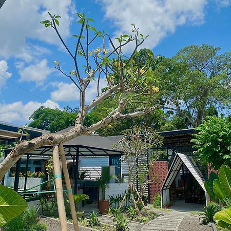 The Jungle Hostel Canggu Eksteriør billede
