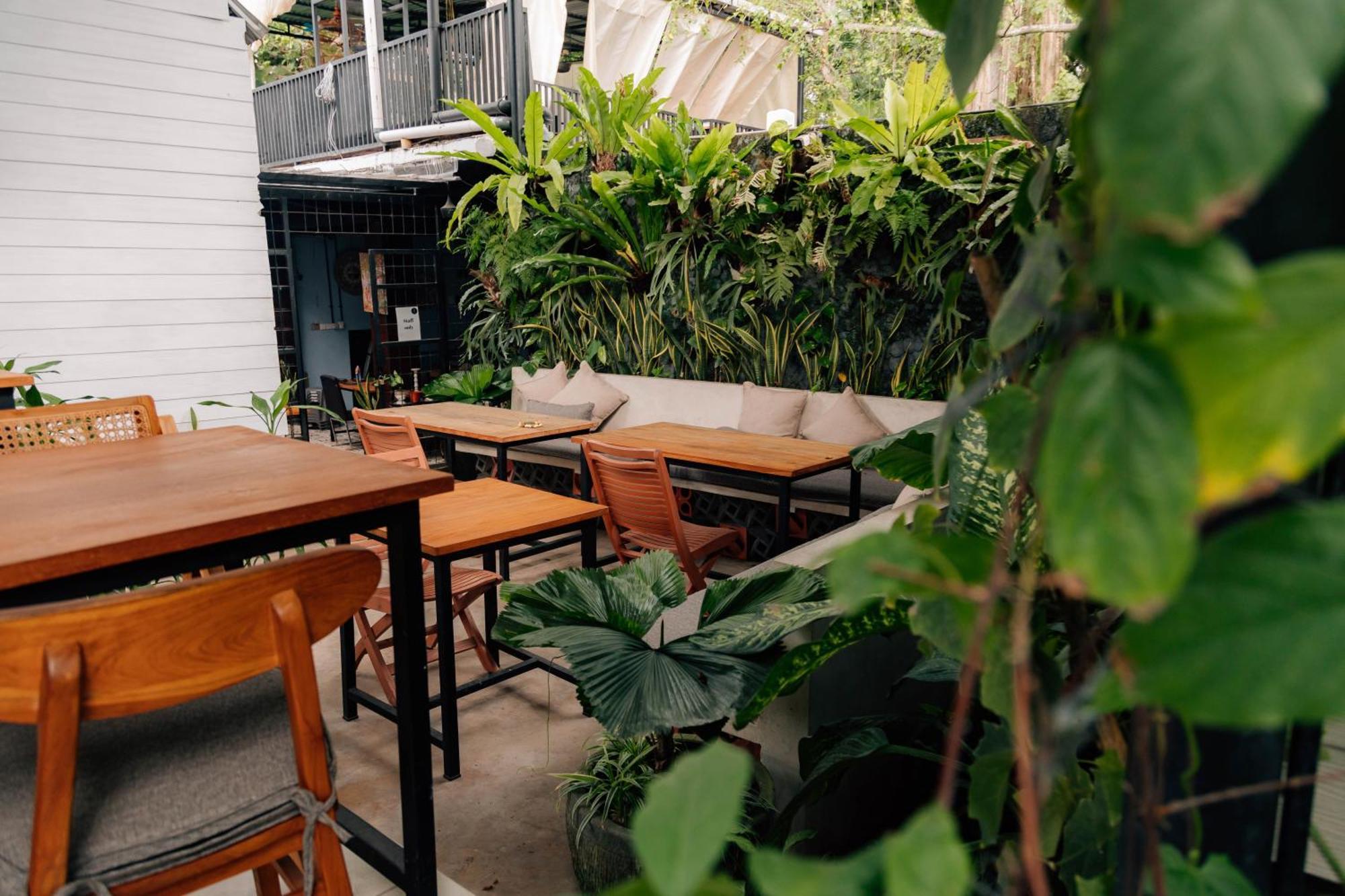 The Jungle Hostel Canggu Eksteriør billede