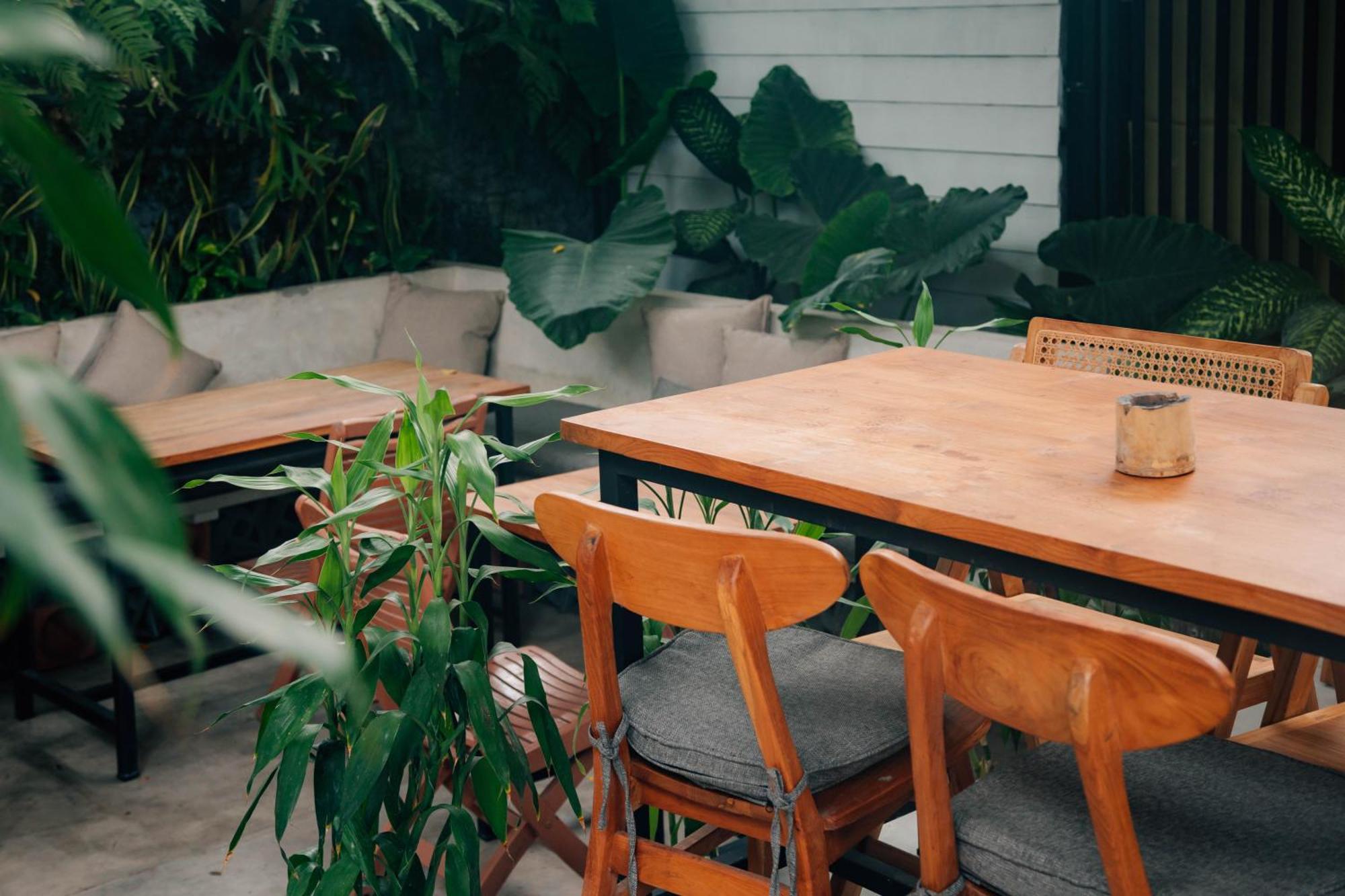 The Jungle Hostel Canggu Eksteriør billede