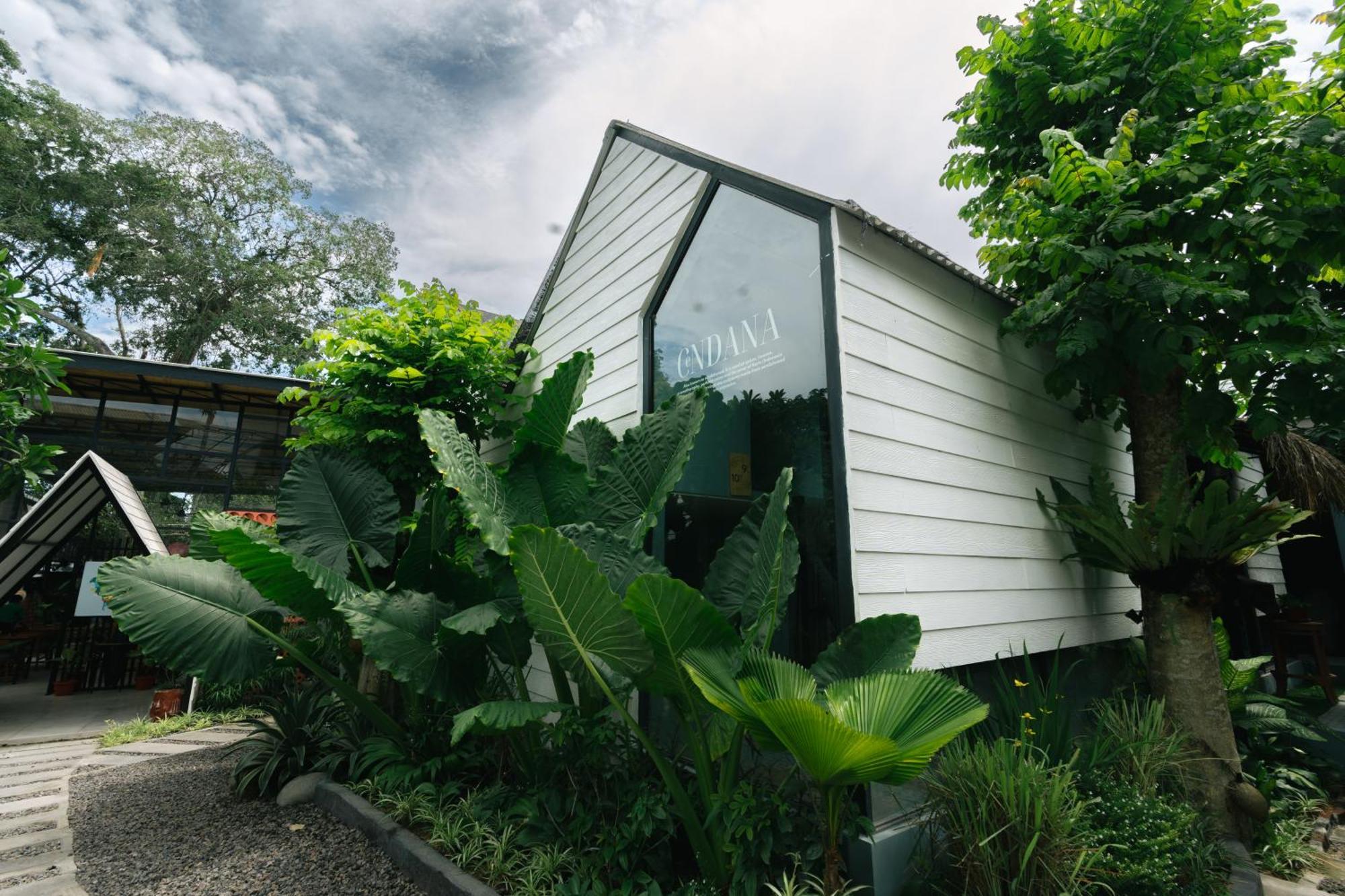 The Jungle Hostel Canggu Eksteriør billede