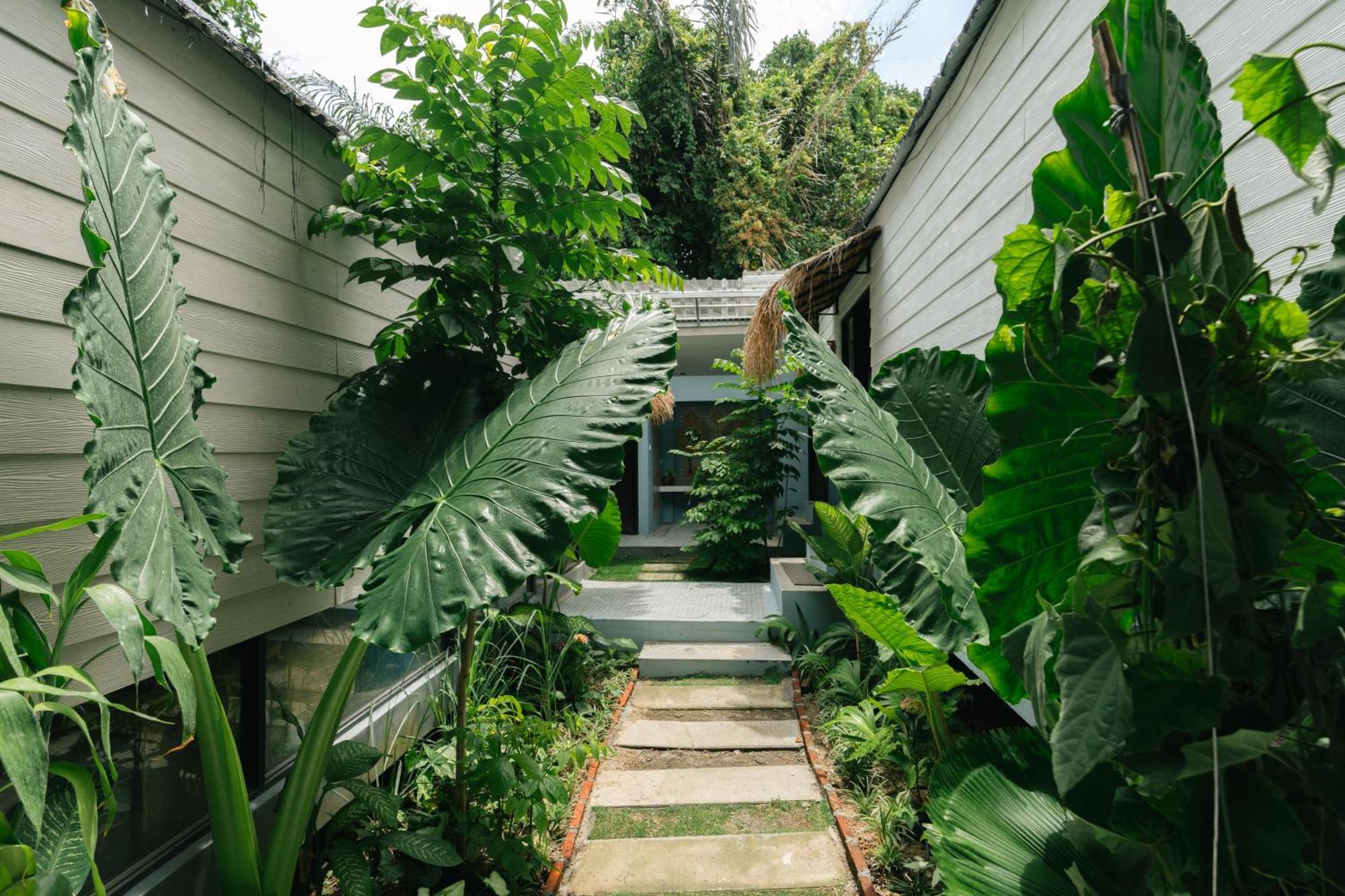 The Jungle Hostel Canggu Eksteriør billede