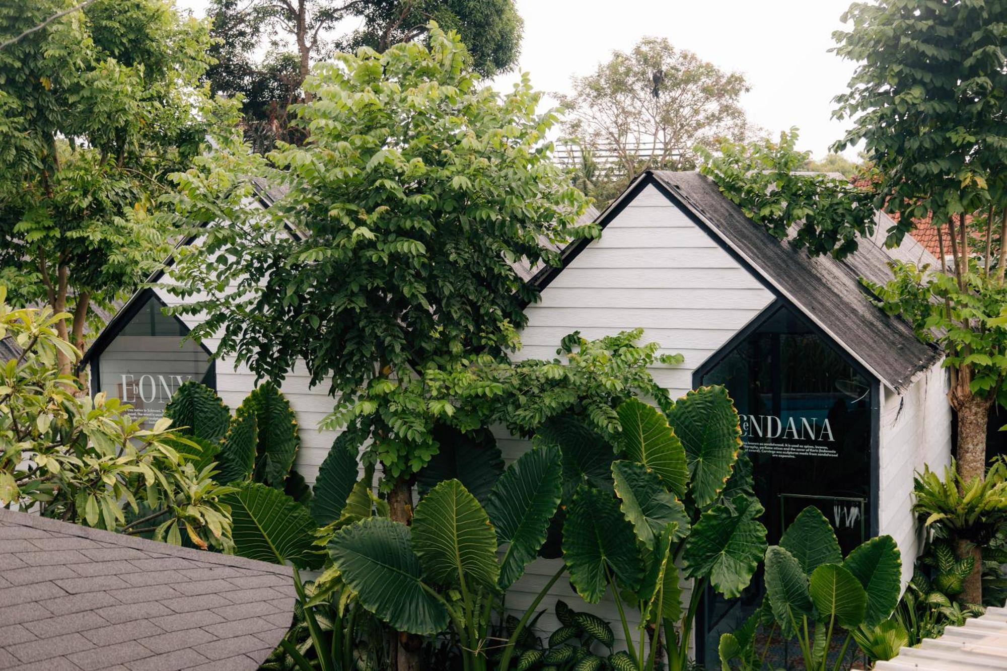 The Jungle Hostel Canggu Eksteriør billede