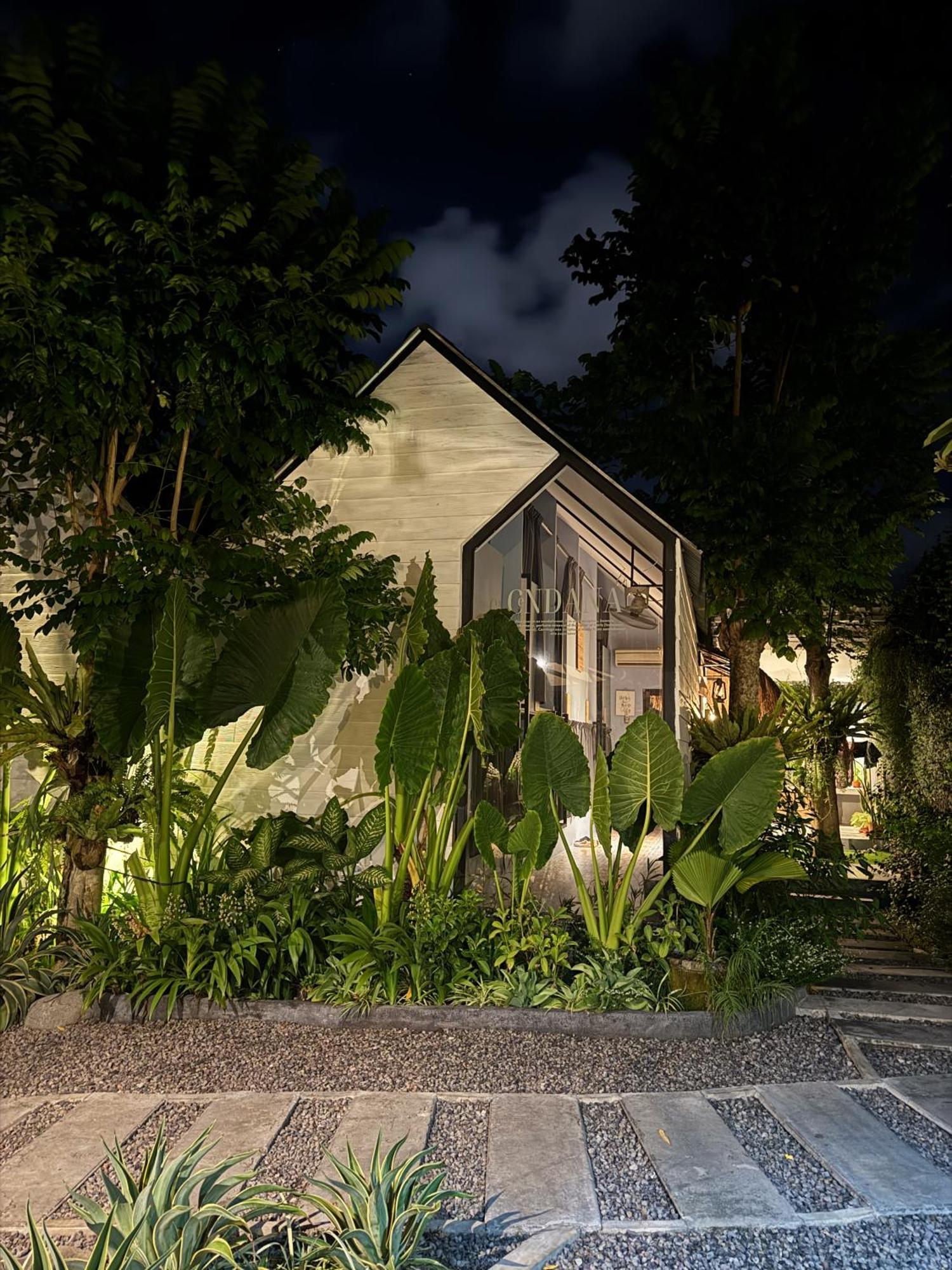 The Jungle Hostel Canggu Eksteriør billede