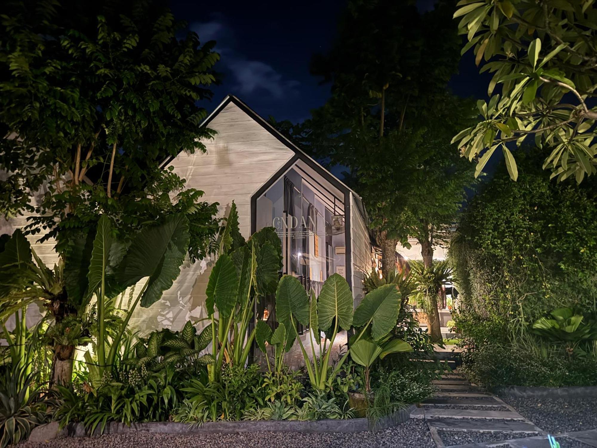 The Jungle Hostel Canggu Eksteriør billede